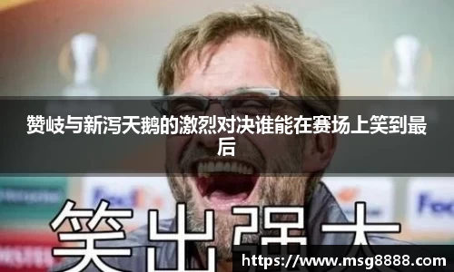 赞岐与新泻天鹅的激烈对决谁能在赛场上笑到最后